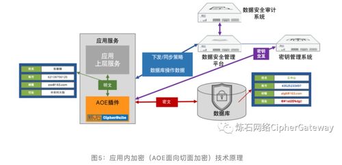 一文讀懂十大數(shù)據(jù)存儲加密技術及數(shù)據(jù)處理和存儲服務