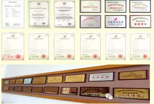 借力中國蔬菜品牌大會，云南蔬菜品牌與企業以大數據服務驅動產業升級